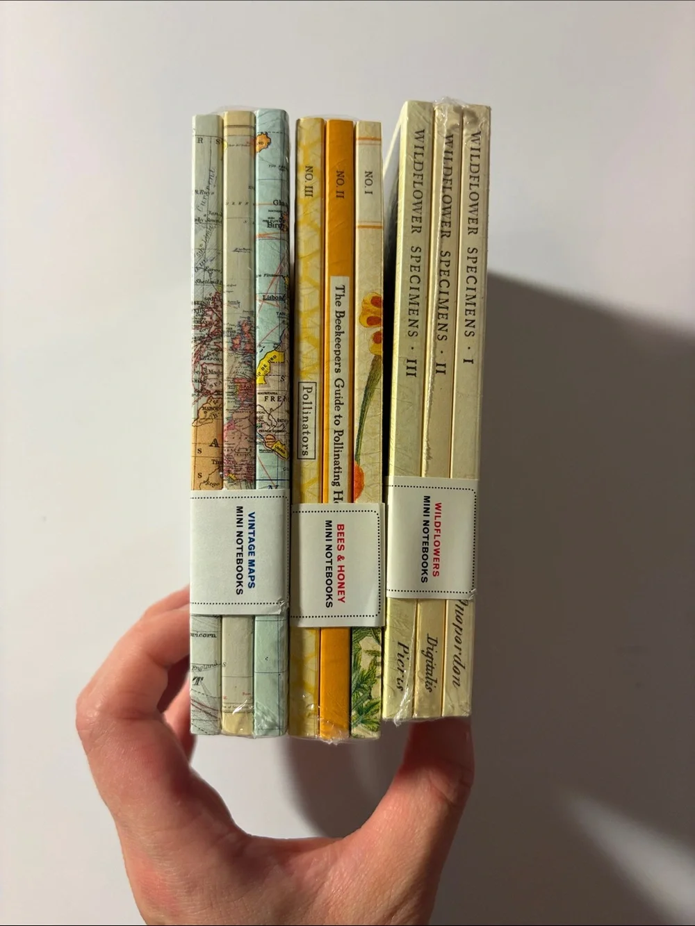 Set Of Cavallini & Co, Fabriano Ecqua Notebooks NWT